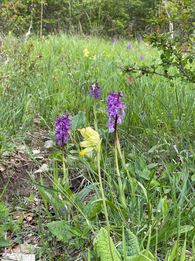 Ferienwohnung Am Kalkweg Bad Sooden-Allendorf Luaran gambar